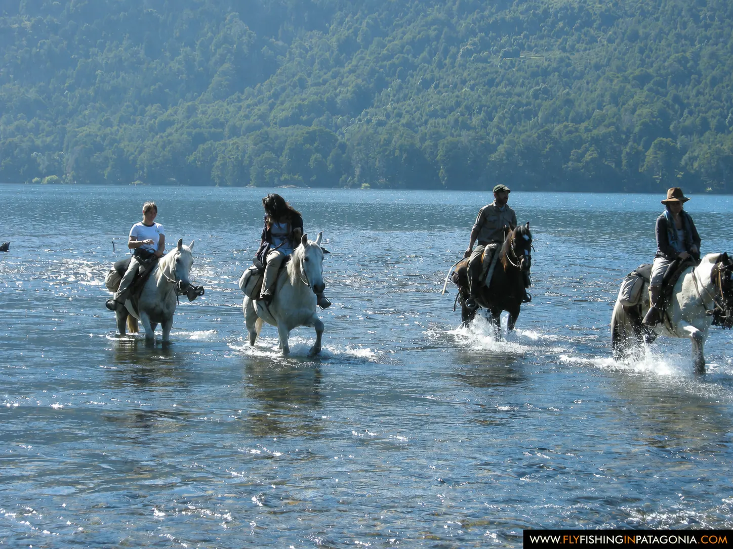Horseback riding through a Patagonian lake